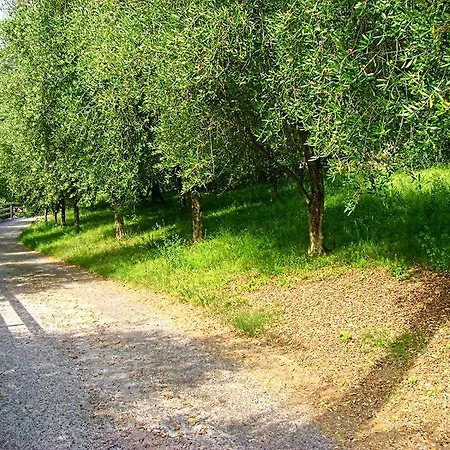 Curtif Panzió Tavernola Bergamasca