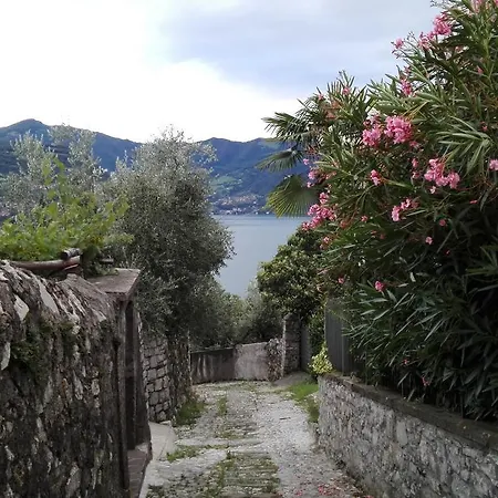 Curtif B&B