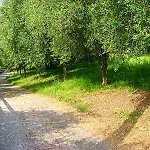 Curtif Panzió Tavernola Bergamasca