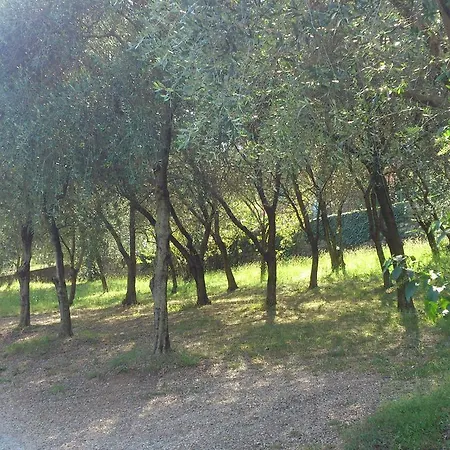 Curtif Bed & Breakfast Tavernola Bergamasca