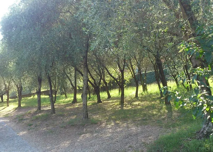 Curtif Nocleg ze śniadaniem Tavernola Bergamasca