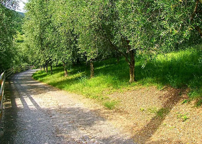 Curtif Nocleg ze śniadaniem Tavernola Bergamasca
