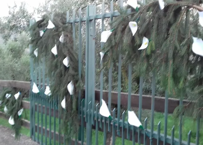 Curtif Tavernola Bergamasca